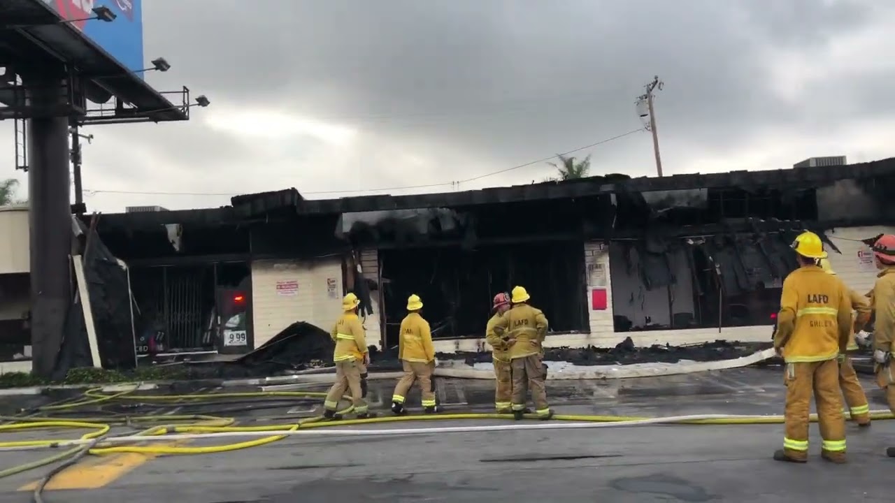 17 Cats Killed in Venice Boulevard Strip Mall Fire - Culver City Observer